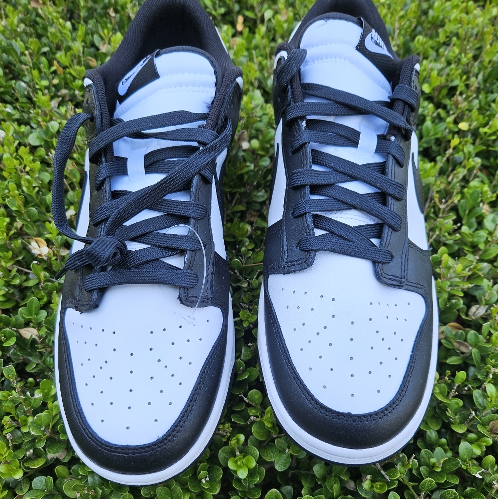 Nike Dunk Low Retro